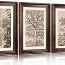 Aryroi Large Vintage Tree Sketch Framed Canvas Wall Art,Brown and Beige Botanical Wall Decor,Natural Forest Artwork,Textured Landscape Art Print for Living Room,Bedroom,Office- 16"x24"x3