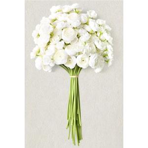 Waipfaru Ranunculus Artificial Flowers, 18Pcs 14In Fake Peonies Artificial Flowers, White Faux Flower for Vase Silk Flower Real Touch Faux Peony Bulk for DIY Wedding Bouquet Home Bridal Shower Decor