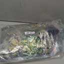 Rogers & Morris Floral Tuxedo Suit Set for Men Regular 2 Piece Jacket and Black Pants 2XL