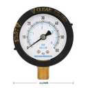 MEASUREMAN 2 Pool Filter Pressure Gauge, 60 PSI, 1/4 NPT Bottom Mount Pool Pump Pressure Gauge for Swimming Pool, Spa, Aquarium, and Valve Filter