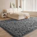 Grey Area Rugs for Bedroom Living Room, 4x6 Soft Large Fluffy Fuzzy Shag Plush Furry Grey Carpet, Soft Indoor Floor Mat for Kids Nursery Home Dorm Office Decor Aesthetic