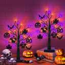 [Timer] 2 Pack 24 Inch Black Halloween Tree with Ornaments, USB/Battery Operated Halloween Orange Purple Lights Lighted Tree Table Decorations, Scary Halloween's Decorations Indoor Home Party Decor