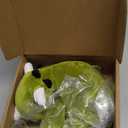 SQEQE Weighted Dinosaur Plush, Weighted Dinosaur Stuffed Animal, Dino Plushies Dino Pillow Toy Gift for Kids Adults 9.8 Inch, 0.8 Lbs (Green)