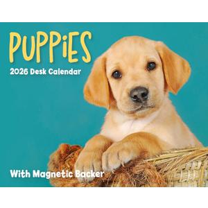 2026 Puppies Mini Box Calendar