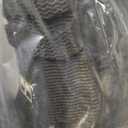 TIDEWE Rubber Boots for Men Multi-Season, Waterproof Rain Boots with Steel Shank, 6mm Neoprene Durable Rubber Outdoor Hunting Boots Size 8 (NEXT Camo)