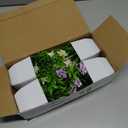 Der Rose 4 Pack Small Fake Plants Mini Artificial Faux Plants Indoor with Flowers Spring Decorations for Home Room Farmhouse Desk House Bathroom Decor