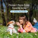 PetArmor Plus Flea and Tick Prevention for Dogs, Small Dog Flea and Tick Treatment, 6 Doses, Waterproof Topical, Fast Acting (5-22 lbs)