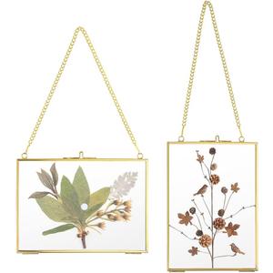 JUXYES Picture Frame, Set of 2 Brass Floater Frame, Golden Glass, 5 x 7 inches, Modern Art Design, Wall Hanging