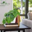Der Rose 2Pcs Small Fake Plants Artificial Mini Faux Plants for Bathroom Office Desk Shelf Table Accessories Decor Indoor