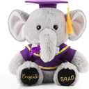 HyDren 10 Inch 2026 Graduation Elephant Plush Stuffed Animal Kindergarten Graduation with Diploma Tassel Cap Embroidery Blessing Preschool Kindergarten Gift for Friend Relatives(Purple)