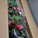 2Pack Artificial Bougainvillea Tree 5FT Faux Silk Pink Bougainvillea Plant with Pot for Indoor Outdoor Decor, Tall Fake Tropical Tree for Home, Office, Patio, Balcony, Wedding Decoration