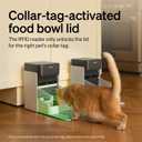 PETLIBRO RFID Automatic Cat Feeder, Collar Tag-Activated Personalized Meals, 5G&2.4G Wi-Fi Programmable Cat Food Dispenser with Cats Recognition & Diet Tracking for Multi-Pet Homes and Different Diets