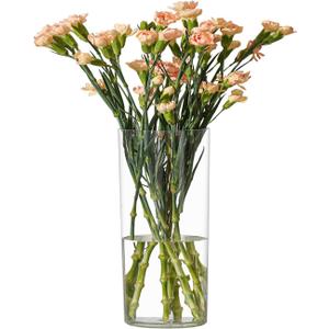 Flower Vase Acrylic Cylinder,7.86" Tall Clear Vase for Centerpieces,Wedding Decorative,Home Dcor, Non Breakable Plastic, 3.94" x 7.86" Tall Round - Clear