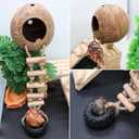 Hermit Crab Climbing Toy, Natural Coconut Reptile Hideout with Ladder, Hanging Coconut Reptile House, Cage or Tank Cave Habitat Accessories, Suitable for Gecko Snake Lizard Chameleon Hermit Crab