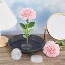 Waydress 4 Pcs 2.8 Inch Plastic Flower Frog Flower Pins Floral Frog for Arrangements Vase Japanese Ikebana Kenzan Floral Arrangement for Crafts Fixed Tools, Wedding Decor, Mother's Day Gifts (Clear)