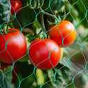 Bird Netting for Garden, 13x33Ft Garden Netting,Fruit Tree Netting Doesn't Tangle and Reusable Bird Mesh Protect Fruit Vegetables Plants from Birds Deer