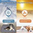 Summer Dog Cooling Mat,2025 Ice Silk Self Cooling Pad for Dogs Cats,Washable & Portable Cooling Dog Bed Indoor Outdoor(Grey,28''x22'')