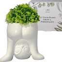 Creative Fake Plants Artificial Succulents in Ceramic Extra-Terrestrial Shaped Pots Funny Artificial Plants Cute Faux Succulents for Home Bathroom Office Desk Decor Perfect Humorous Gift Idea (White)