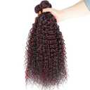 P1B/99J Burgundy Bundles Human Hair 20 22 24 Inch Curly Bundle P1B/99J Highlight Burgundy Human Hair Bundles Highlight 12A Unprocessed Brazilian Virgin Hair Quick Weave for Black Women