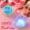 Christmas/Thanksgiving Rose for Women,Home Scent Roses Real Fragrance Last,Eternal Flowers Rose Gifts for Women/Her/Mom/Wife Girlfriend,Perfect Decoration for Bedroom and Office. (Pale Blue)