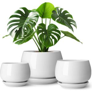 Vancasso 3-Pack Ceramic Plant Pots, 3.7/4.8/6.2 Inch Indoor Planters with Saucers & Drainage Hole Planter pots for Indoor Plants and Flower, White