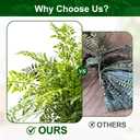 2 Pack Artificial Fern Plants in Pots Artificial Boston Ferns Potted Plants Faux Fern Bush Plant Shrubs Greenery for Outdoor Indoor Porch Patio Farmhouse Garden Living Room Office Table Decor (Type 2)