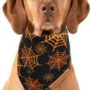 Realeaf Halloween Dog Bandanas 2 Pack, Pumpkin and Spider Web Bibs, Triangle Reversible Fall Pet Scarf, Premium Durable Fabric, Adjustable Fit (X-Large)