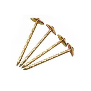 Umbrella Head Roofing Nail