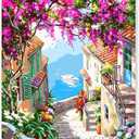 EFOTIML Paint by Numbers Kit for Adults Beginners & Kids Ages 8-12,1 Pack 16x20 inches Canva for Painting Kits for Adults in Colorful Box(Without Frame)-Flower Towns