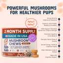 Pets are Kids Turkey Tail Mushroom for Dogs with Organic Real Turkey Tail - 8:1 Extract Mushroom Chews for Lumps & Bumps, Immunity, Gut, Skin, Joint & Spine Support - Reishi, Lions Mane - 60 Chews, Expiry: 03/2028