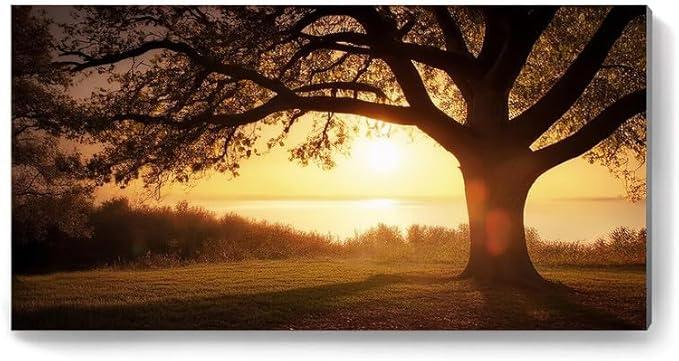 NOVASTARCK Large Wall Art for Living Room Landscape Canvas Painting Big Trees in Sunset Golden Sunset Forest Natural Landscape Painting Artwork for Bedroom Office Home Decor 29"x58"