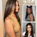 GORGIUS Highlight Lace Front Wig Pre Plucked Glueless Black and Brown Straight Layered Wig Upgraded with Premium Synthetic Fiber 22 Inch
