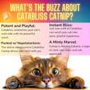 Catnip for Cats  1oz Jar - 100% Essential Natural Cat Nip Herb Resealable Jar - Fresh Aroma Stimulates Activity & Enhancing Play for Indoor Cats - Great for Cat Nip Toys, Play & Training