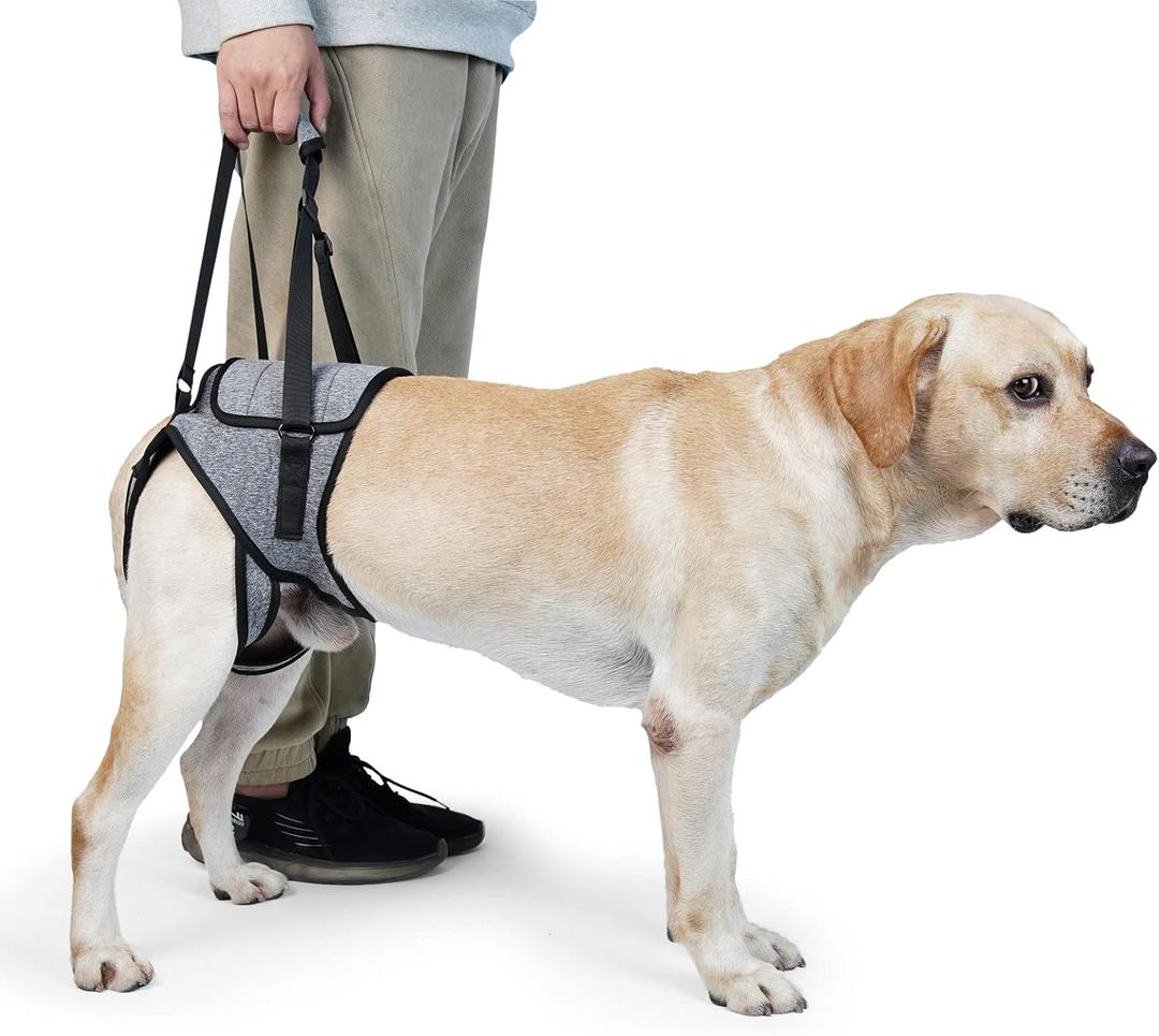 Dog Lift Harness, TORJOY Dog Sling for Small Medium Large Dogs, Dog Support Harness for Back Legs, Adjustable Soft Padded Pet Harness for Olderly, Injured, Arthritic, Disabled Dogs, Grey, S
