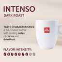 2 x illy Instant Coffee- 100% Arabica Coffee Intenso Dark Roast Warm Notes Of Cocoa & Dried Fruit - Easy Preparation - Convenient Coffee Instant Format - Roasted In Italy 3.3 Ounce (EXP 03/01/28)