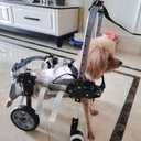 Dog Wheelchair for Small Medium Large Dogs, Adjustable 4-Wheel Mobility Aid, Lightweight Rehabilitation Brace (4 Wheels, L)