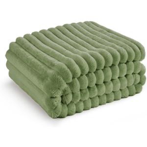 Bedsure Reseda Fleece Throw Blanket for Couch - GentleSoft Cozy Soft Blankets for Women, Cute Small Throws for Girls, 50x60 Inches