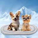Pet Dog Cooling Mat 35x19 Reversible Cooling Pad for Dogs and Cats, Comfort Ice Silk Cotton Summer Dog Bed Outdoor Indoor Washable, Ideal for Kennel Sofa Floor Car Seats