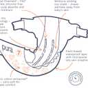 Pura Size 7 Eco-Friendly Diapers (33+lbs) Totally Chlorine Free (TCF) Hypoallergenic, Soft Organic Cotton Comfort, Sustainable, up to 12 Hours Leak Protection, Allergy UK,1 Pack of 17 Diapers