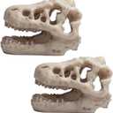 Opexicos 2Pcs 8.5 x 5.5 x 4.5 cm Resin Dinosaur Skull Aquarium Decoration Terrarium Reptile Fish Tank Ornament
