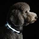 LED Dog Collar for XSmall Dogs & Toy Breeds USB-C Rechargeable Light Up Dog Collar, Fully Waterproof Adjustable Glow Collar for Night Walking & Safety(White,XS)