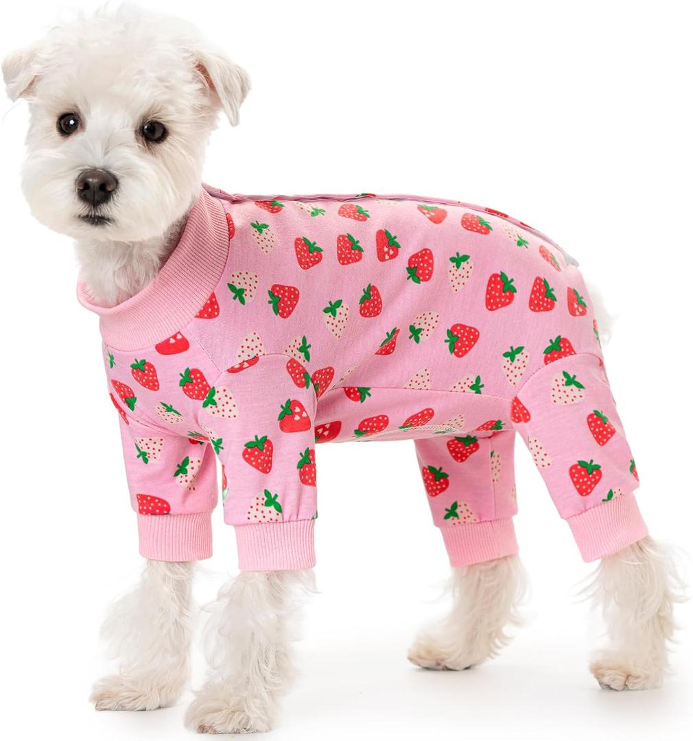 Small Dog Striped Recovery Suit, Puppy After Surgery Onesie for Female Male, Pet 4-Legged Pajamas Bodysuit, Surgery Abdominal Wound Bandages Clothes Pant for Shedding Skin Disease (Strawberries)