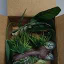 Moonorange Reptile Artificial Plants, Terrarium Plants Decorations Supplies, Aquarium Fish Tank Plant, Amphibian Habitat Hideout Tank Accessories (M Set-2pcs/G)