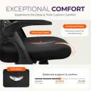 NEO CHAIR Office Desk Chair Computer Gaming Ergonomic Lumbar Back Support with Flip-up Padded Armrest Adjustable Height and Wheels for Home Vanity Bedroom Study (All Black)
