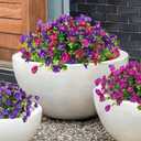 SJL Artificial Flowers for Outdoors Faux Spring Petunias Flowers Fake Greenery Stems Plant UV Resistant Artificial Outdoor Plants for Front Door Home Garden Balcony Patio Decoration(Fuchsia)