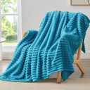 BEDELITE Fleece Throw Blanket for Couch - 300GSM Soft & Warm Fluffy Teal Blanket, Decorative and Giftable Striped Blankets for Women, Men, 50"x60"