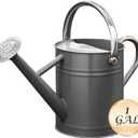 Metal Watering Can for Outdoor and Indoor Plants, Watering Can Decor, 1 Gallon (Gray)