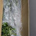 LYERSE Artificial Olive Tree 9 Feet - Tall Faux Olive Tree 9ft (108in) - Olive Trees Artificial Indoor with Natural Wood Trunk and Lifelike Fruits - Fake Olive Tree for Home House Decor Indoor