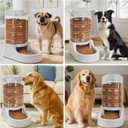 Kenond 9.5L Gravity Large Dog Feeder, Automatic Dog Food Dispenser, Suitable for Indoor/Outdoor