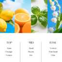 Reed Diffusers Set, 8 Oz Fresh Scented Diffuser, 6 Reed Diffuser Sticks, Home Fragrance Aromatherapy Oil Diffuser Reeds, Blue Bathroom & Office Decor 240 ml